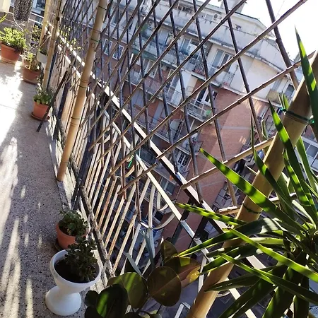 Casamao * روما